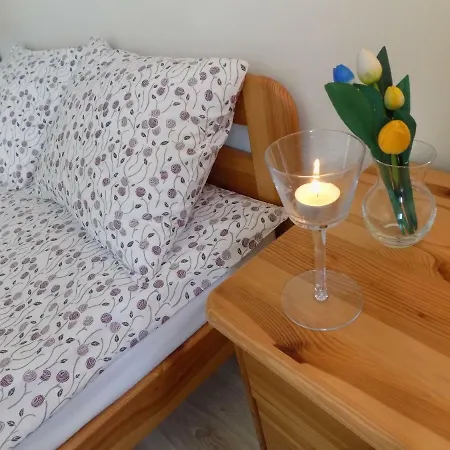 Pokoje Goscinne Czarnieckiego *
